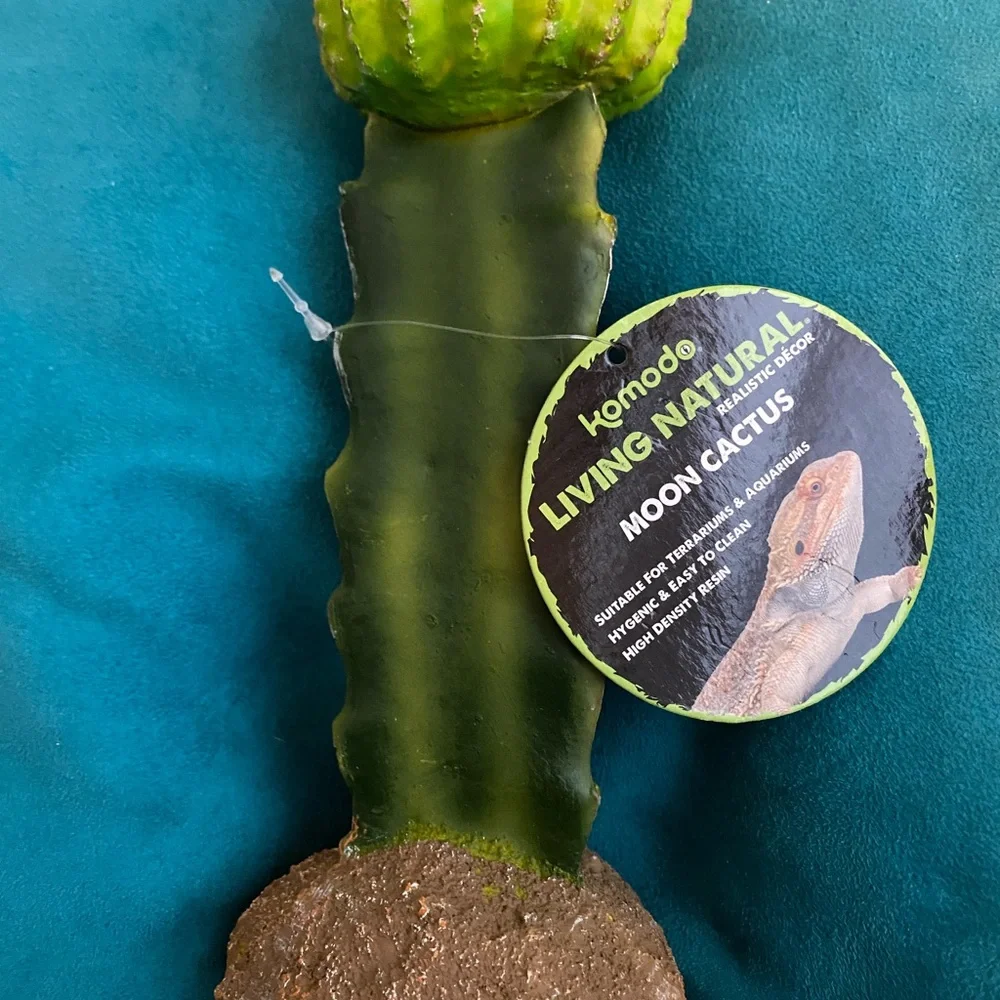 💖3/$15💖 Desert Oasis Reptile Cactus Ornament